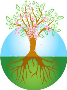 spring tree image.jpg