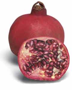Pomegranate