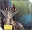 Chanukah Videos