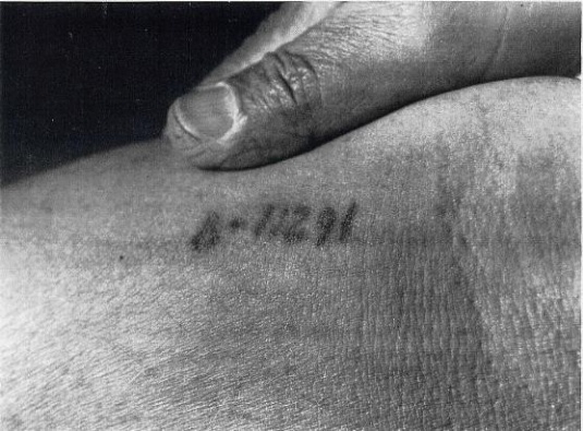 Tattoo.jpg